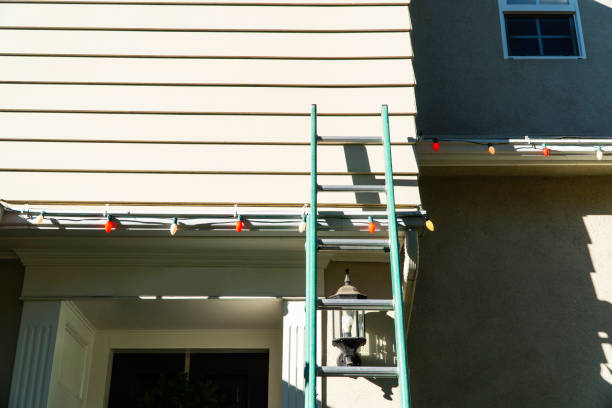Best Siding Maintenance  in Niles, MI