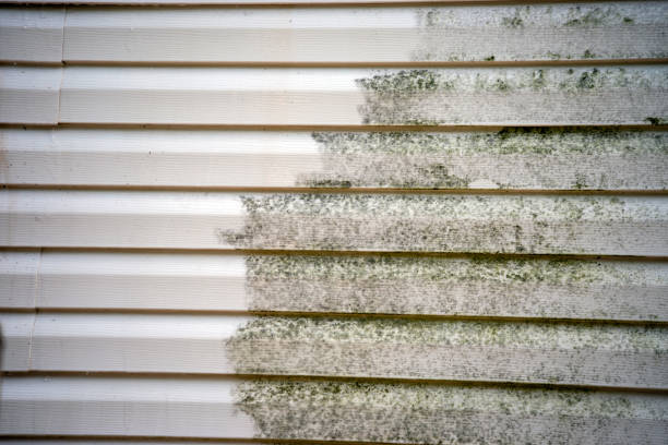 Best Siding for Multi-Family Homes  in Niles, MI