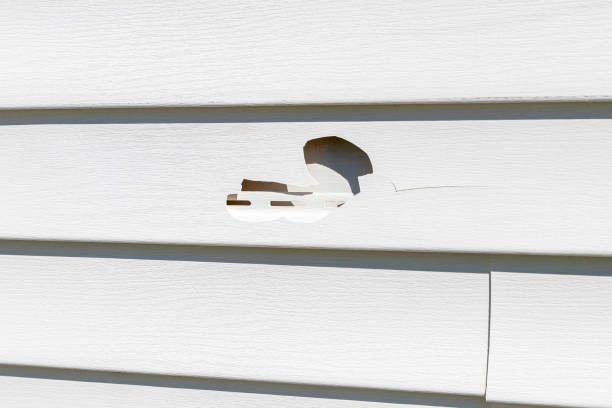Professional Siding Installation & Repair in Niles, MI