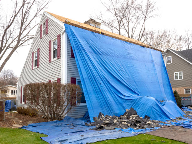 Best Composite Siding  in Niles, MI