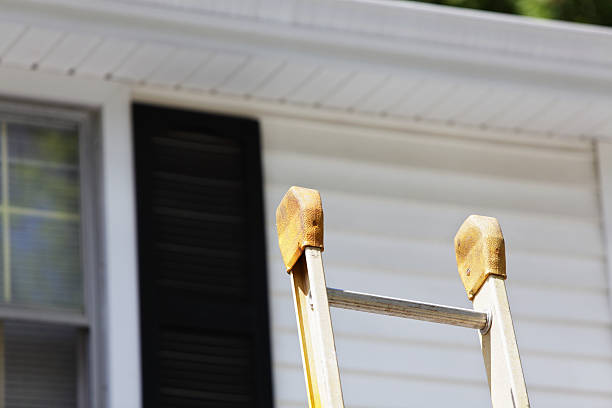 Best Aluminum Siding Installation  in Niles, MI