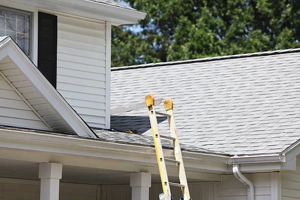 Best Fascia and Soffit Installation  in Niles, MI