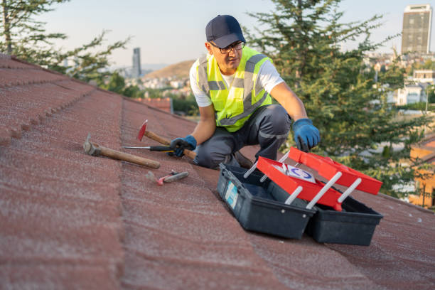 Best Residential Vinyl Siding Installation  in Niles, MI